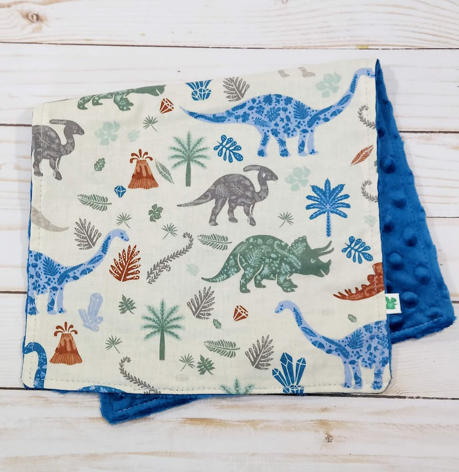 Dinosaurs Baby Gift Set